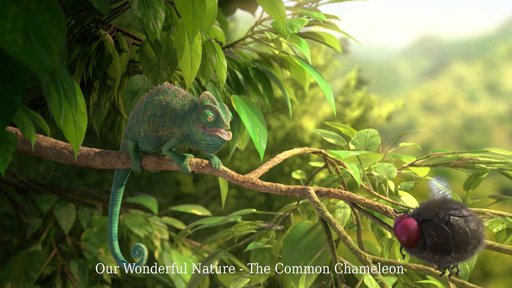 Imagen de Nuestra maravillosa naturaleza- El común camaleón