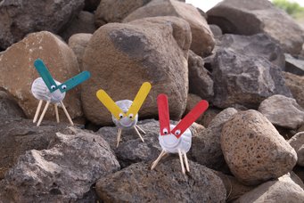 Imagen de Las cabritas