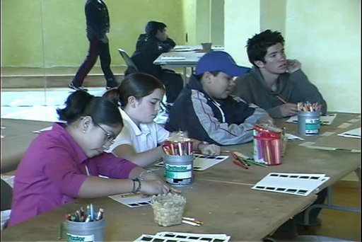 Imagen del taller de El caparazón de la tortuga