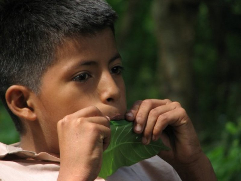 Imagen de Campesinos… herederos de la tierra