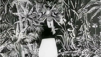 Imagen de La crisálida y la mariposa