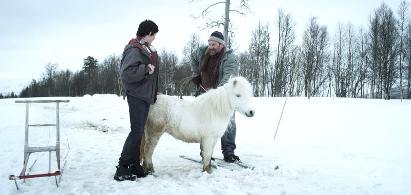 Imagen de El caballo de Levi