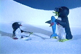 Imagen de Amistad polar