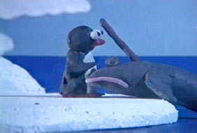 Imagen de Amistad polar