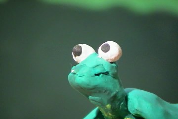 Imagen de El caparazón de la tortuga