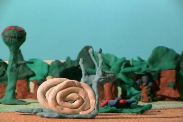 Imagen de El caparazón de la tortuga
