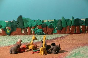 Imagen de El caparazón de la tortuga
