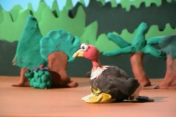 Imagen de El caparazón de la tortuga