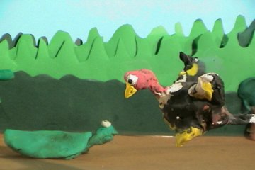Imagen de El caparazón de la tortuga