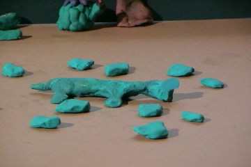 Imagen de El caparazón de la tortuga