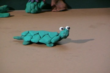 Imagen de El caparazón de la tortuga